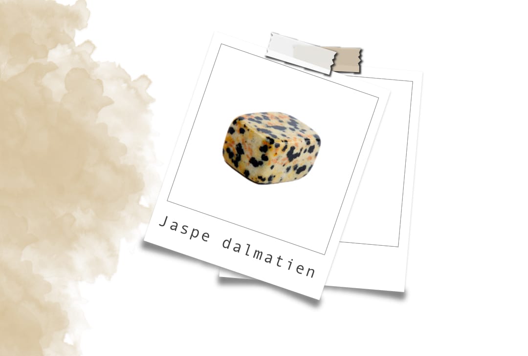 Pierre Jaspe Dalmatien : Vertus En Lithothérapie