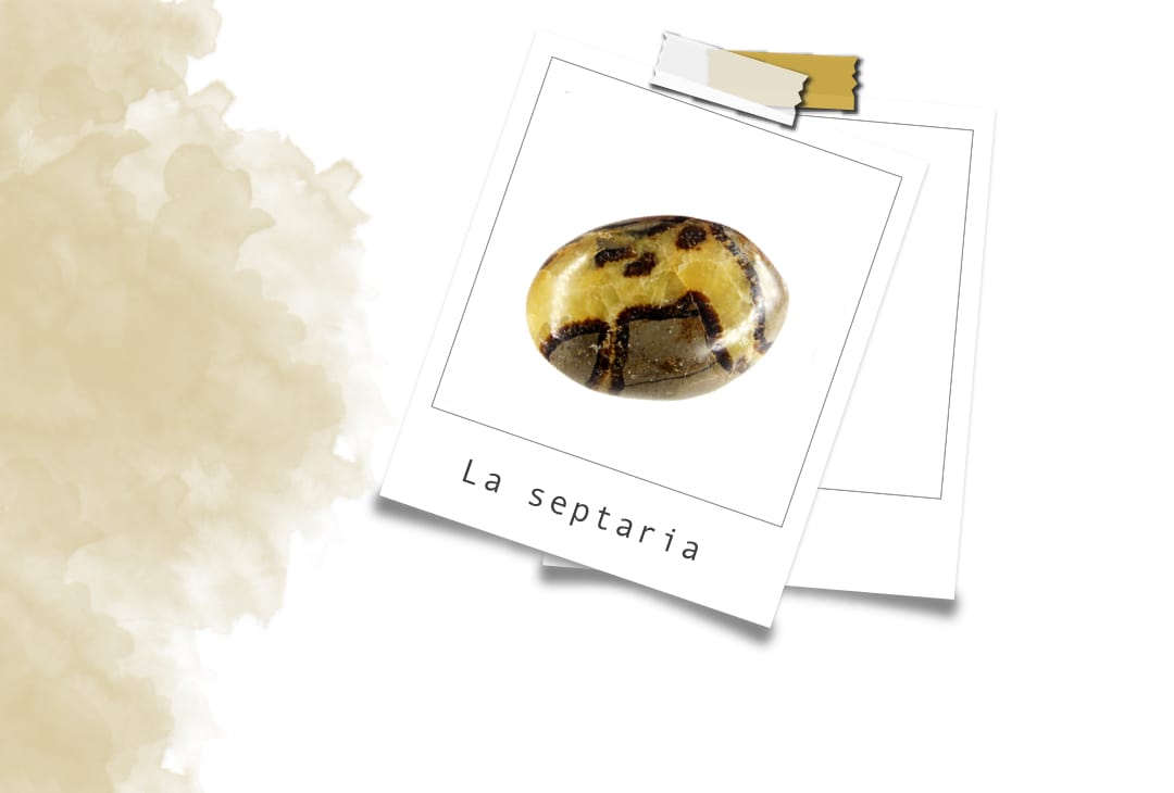Pierre Septaria : Vertus En Lithothérapie