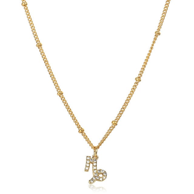 Collier Signe Astrologique Capricorne - Citrine