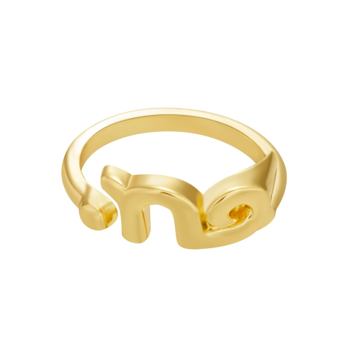Bague Astrologie Capricorne