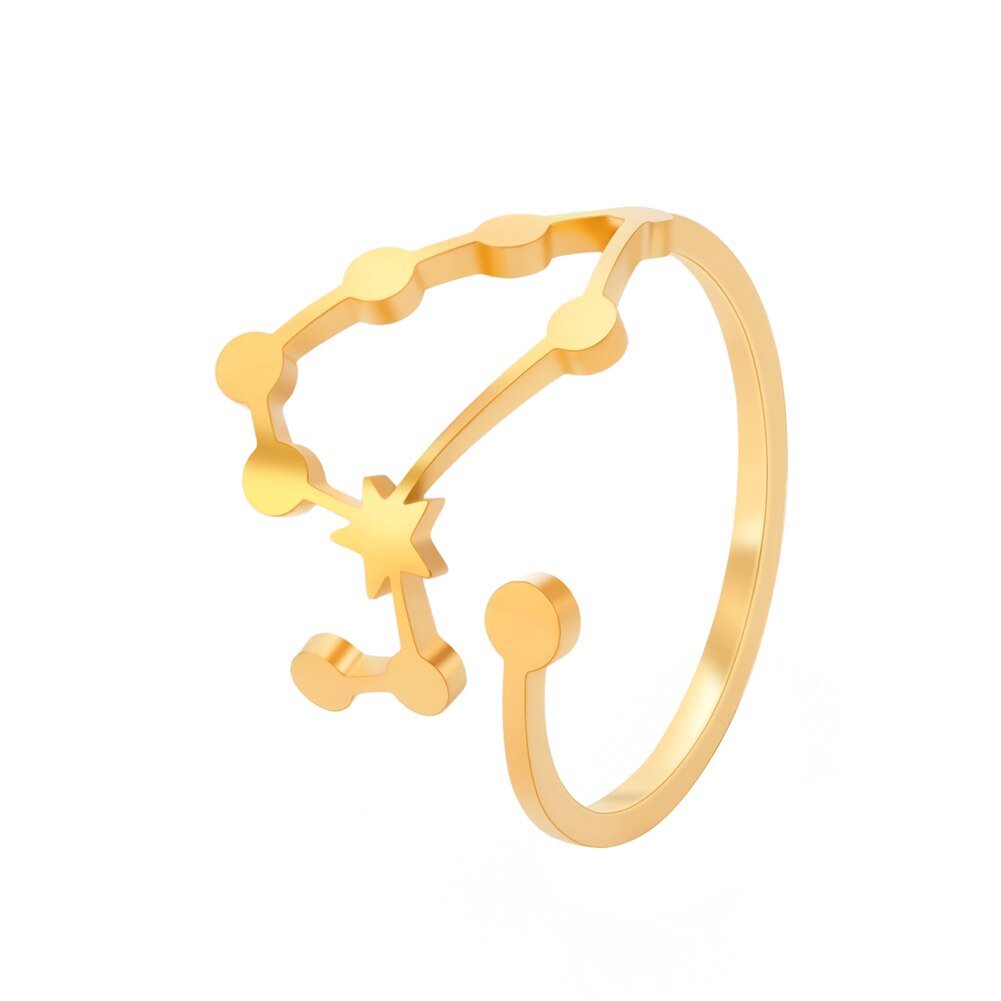 Bague Signe Astrologique Lion en Acier