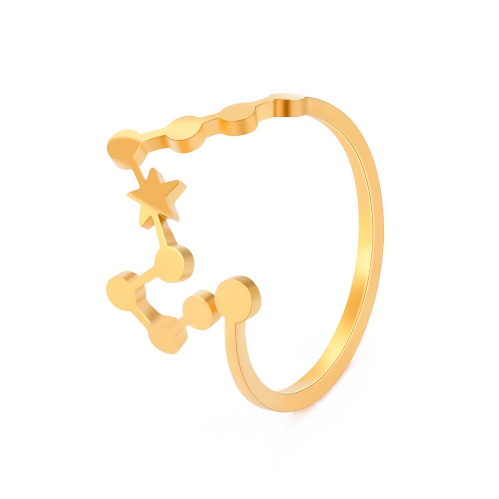 Bague Signe Astrologique Poissons en Acier