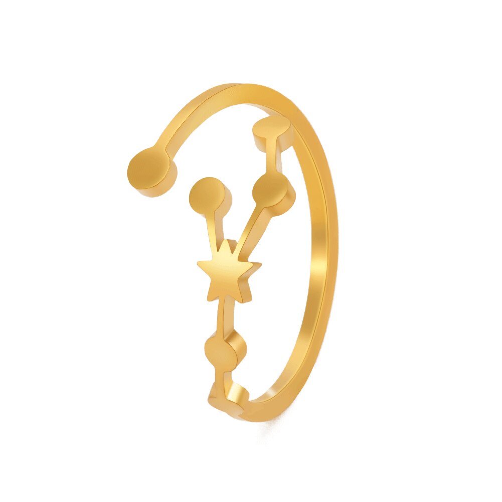 Bague Signe Astrologique Taureau en Acier