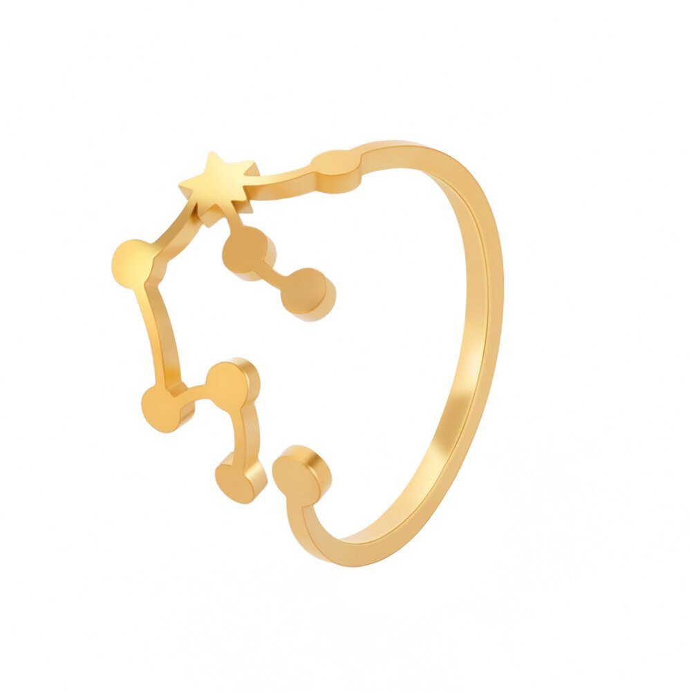 Bague Signe Astrologique Verseau en Acier