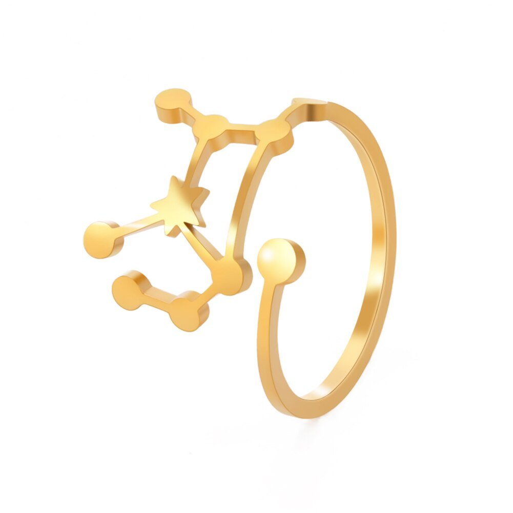 Bague Signe Astrologique Vierge en Acier