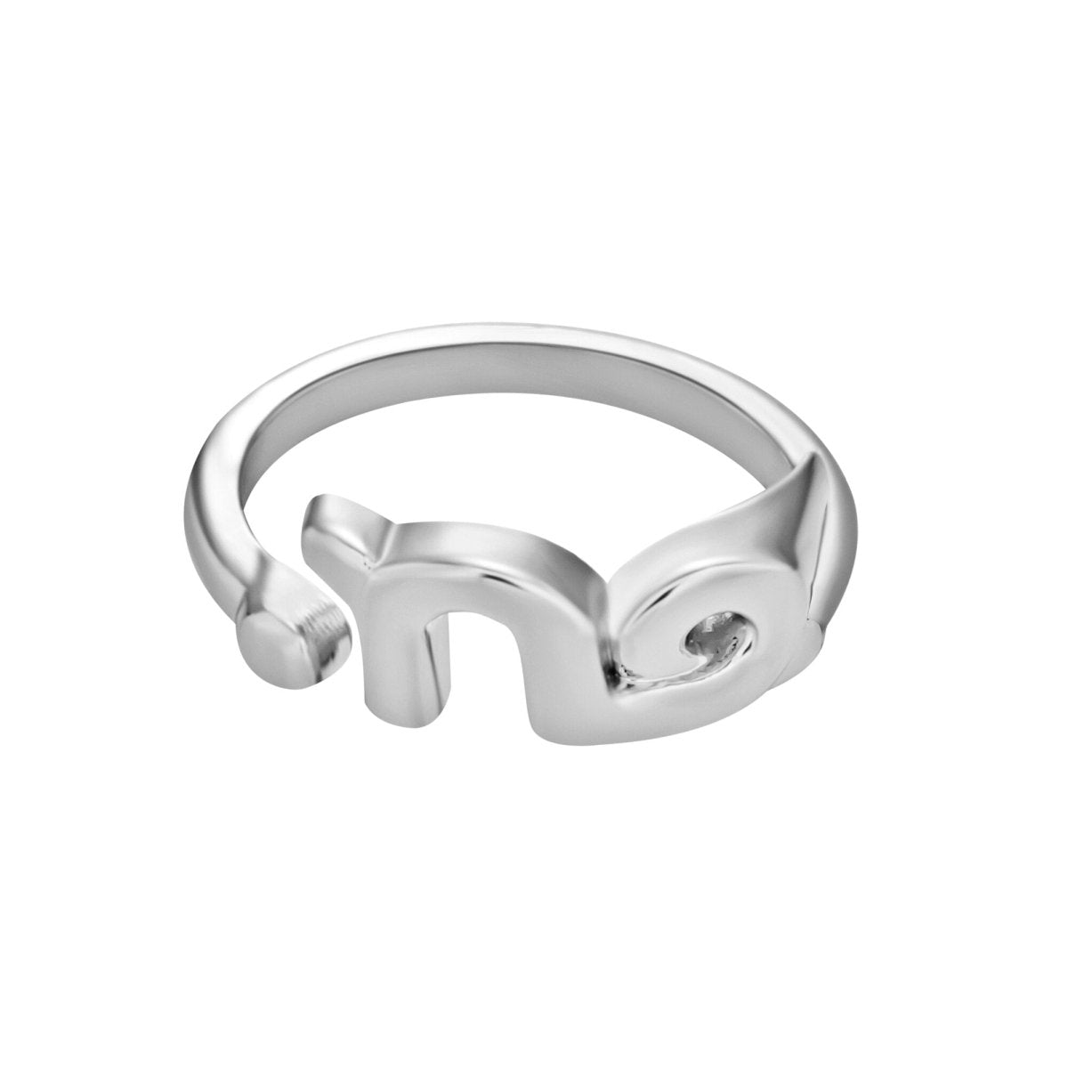 Bague Zodiaque Signe Capricorne
