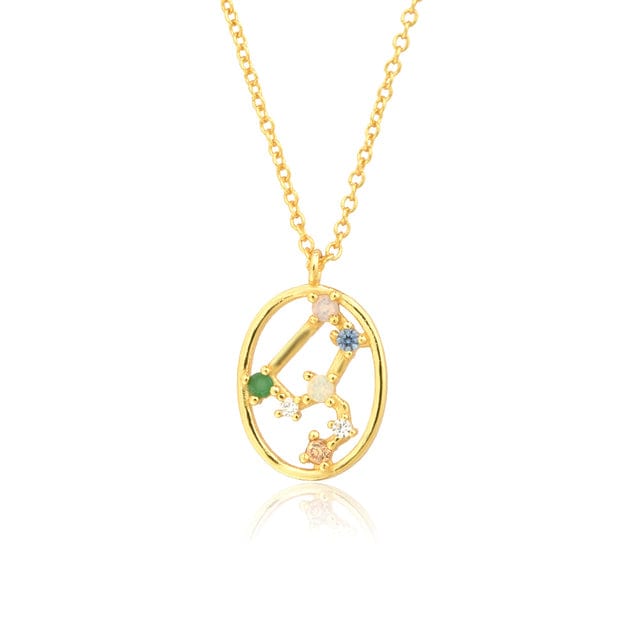 Collier Signe Astrologique Lion en Argent Sterling