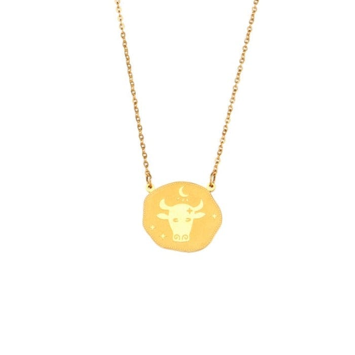 Collier Zodiaque Taureau en Acier