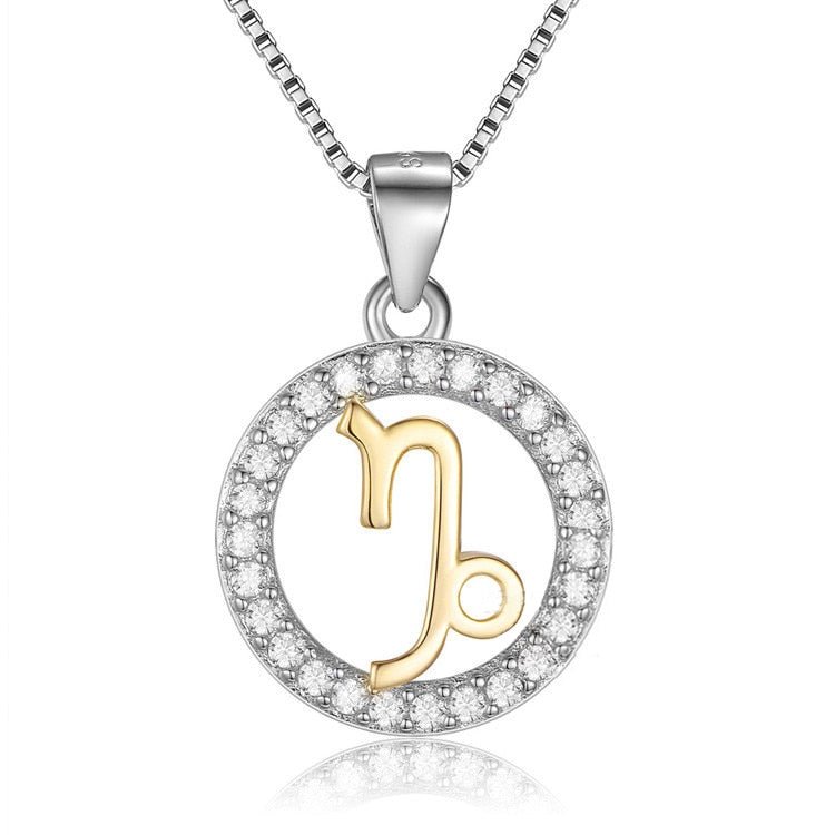Pendentif Astrologie Capricorne en Argent 925